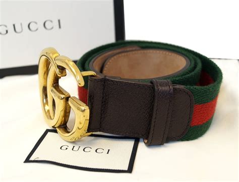 gucci leather belt with web.